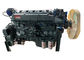 OEM Shacman Truck Parts Motore Diesel 6 cilindri per Weichai Motore Diesel WD615